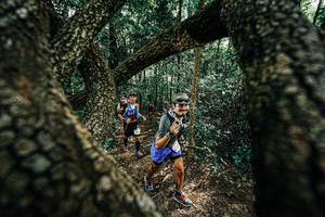 BIB: 
                            <button type="button" onclick="openModal(25392184)" class="btn btn-primary btn-sm float-right btn-popup" data-toggle="modal" data-target=".modal-high-quality">
                        <i class="fas fa-shopping-cart"></i> Add to Cart
                    </button>
                                            <button type="button" onclick="isThisMe(25392184, true)" class="btn btn-success btn-sm float-right btn-popup btn-isme hidden" data-toggle="tooltip" data-placement="bottom" title="นี่คือรูปของคุณใช่ไหม คลิกที่นี่เพื่อเอาเข้าอัลบั้ม">
                        <i class="fas fa-plus"></i> Add to album
                    </button>
                    <button type="button" onclick="isThisMe(25392184, false)" class="btn btn-warning btn-sm float-right btn-popup btn-isnotme hidden">
                        <i class="fas fa-ban"></i> Remove from album
                    </button>